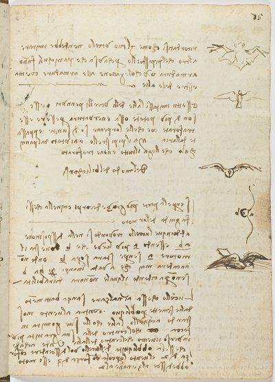 Codice sul volo degli uccelli, c. 1505-06, manoscritto su carta, cc. 18, foglio 15 recto da Leonardo da Vinci